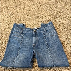 Express Denim Blue Jeans